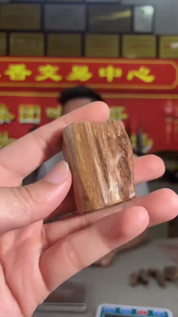 【闪购商品】沉香手把件克+O163海南多样性发一