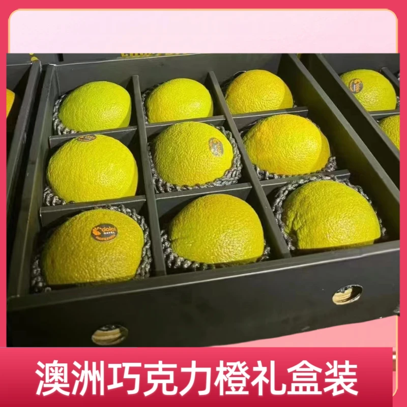 澳大利亚进口巧克力橙肉质细腻多汁甜橙味浓郁稀有品种礼盒装顺丰
