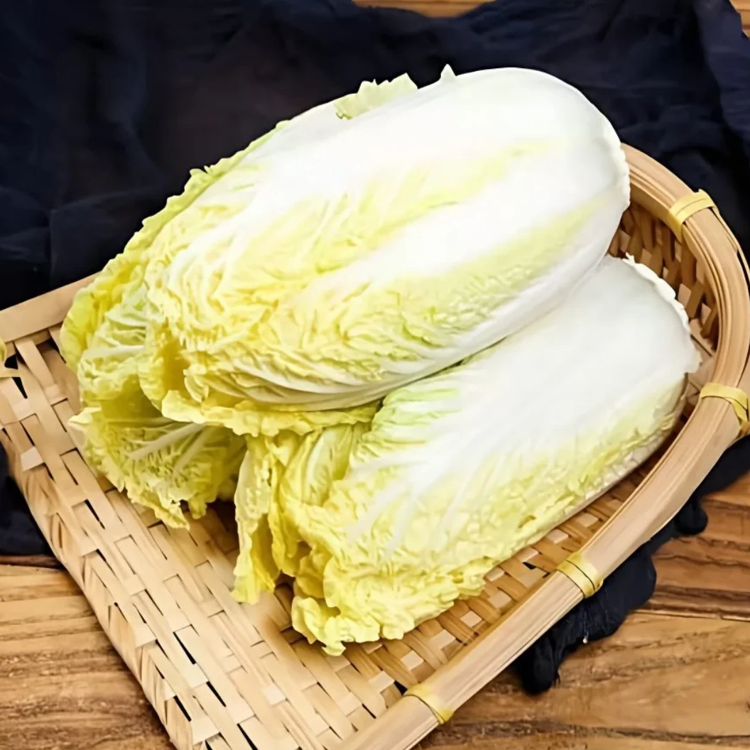 现摘现发河南精品黄心娃娃菜时令新鲜蔬菜5斤装包邮