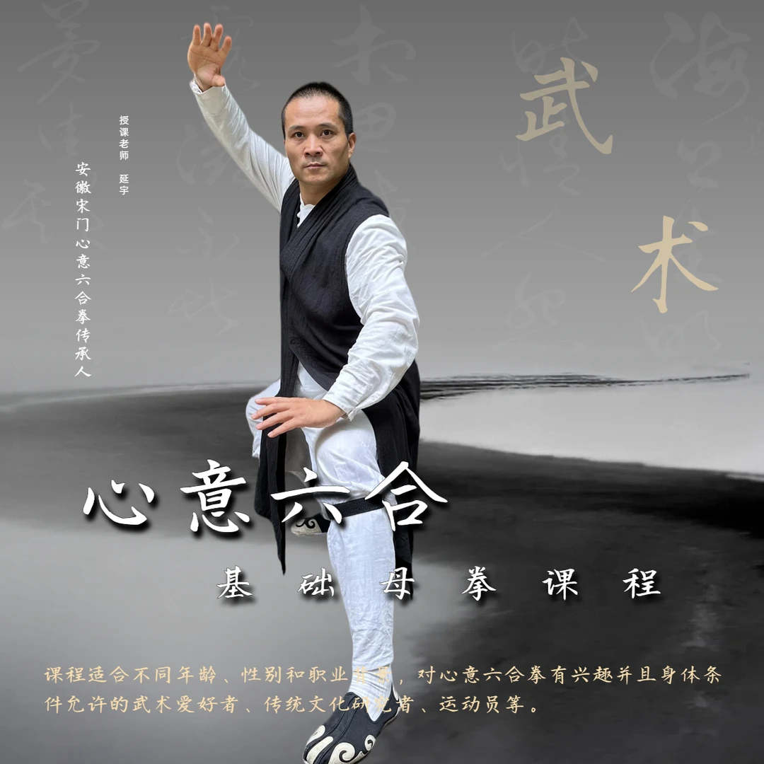 心意六合基础母拳课程（视频课）