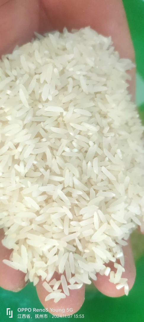 【小五专属】农村自种生态晚稻不打蜡不抛光原始农家大米