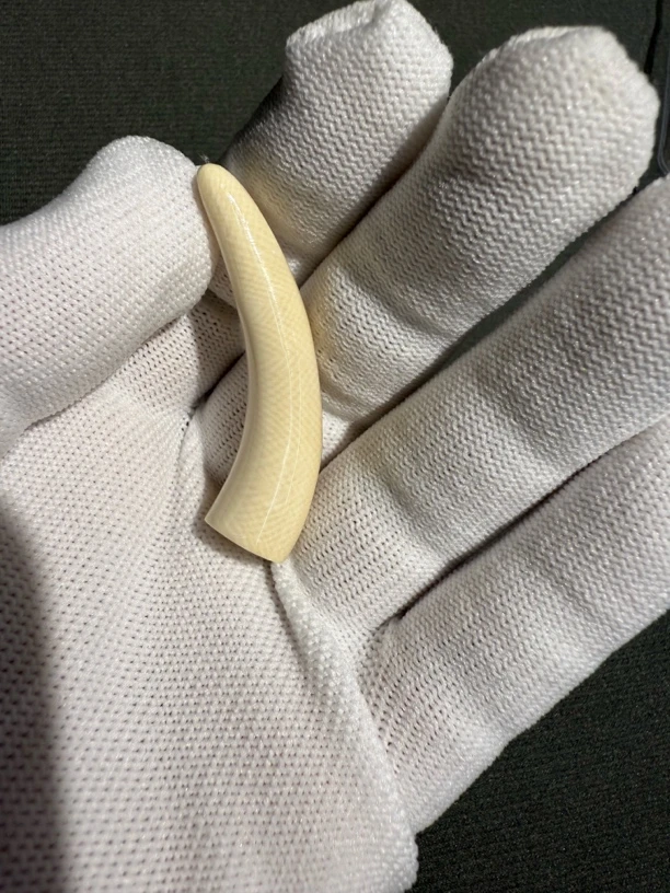 精品猛犸牙小牙尖吊坠