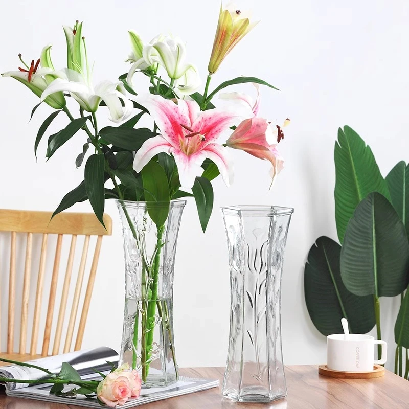 特大号透明玻璃花瓶北欧家用水养富贵竹百合干花插花花瓶客厅摆件