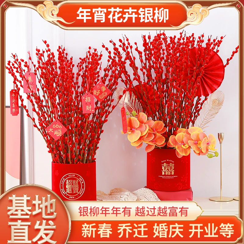 福桶银柳红色招财干花真花鲜枝耐寒年宵花水培花卉室内客厅装饰花