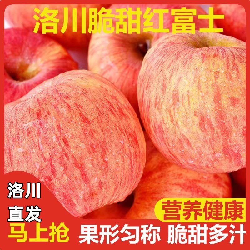 【正宗洛川苹果】2025年新果洛川红富士苹果脆甜多汁孕妇带箱5-10DD