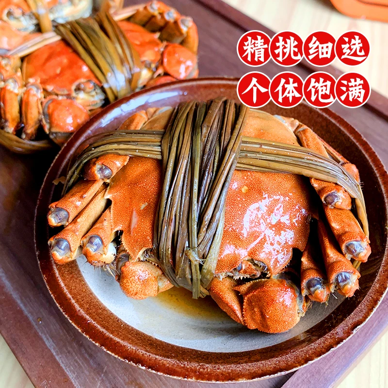 【6月黄花雕蟹  顺丰包邮】即食熟食饱满   600g