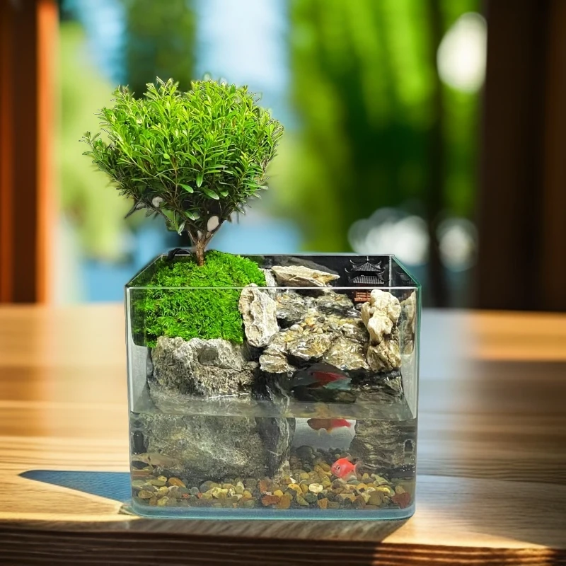 【高山流水】可养鱼循环过滤流水桌面景观赤楠摆件创意绿植20*14*16