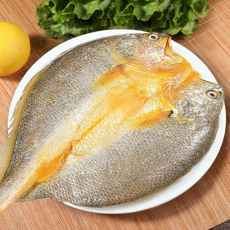 新鲜冷冻大黄鱼黄花鱼鲜活海鲜海鱼
