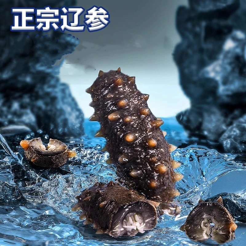 【刘达玲专属】 8头刺参 解冻海参冷冻水产肉质鲜美口感爽滑500g