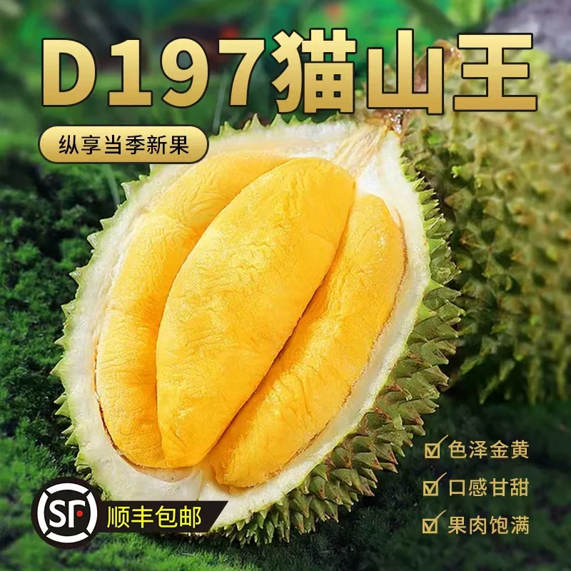 1号（一物一拍）猫山王D197/黑刺D200马来西亚榴莲液氮冷冻进口树熟