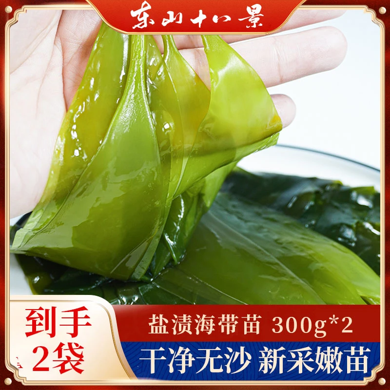 盐渍海带苗300g/包*2 凉拌火锅菜 霞浦脆爽新鲜烹饪海洋直供新鲜