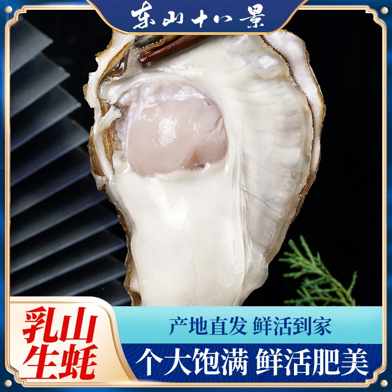 乳山生蚝 鲜活海鲜肥蚝牡蛎原产地直发 多规格净重5斤 顺丰包邮