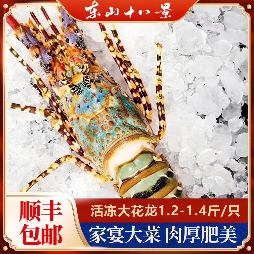 活冻大花龙1.2斤-1.4斤/只冷链低温锁鲜尽享原味冷冻保存顺丰包邮