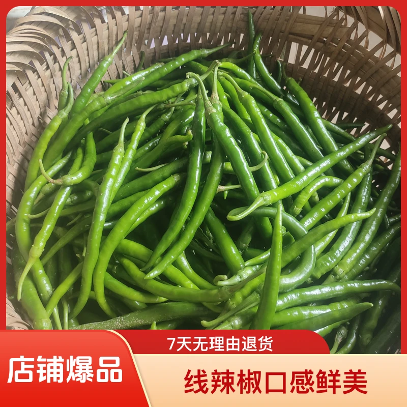 线椒农户自产，现摘现发。