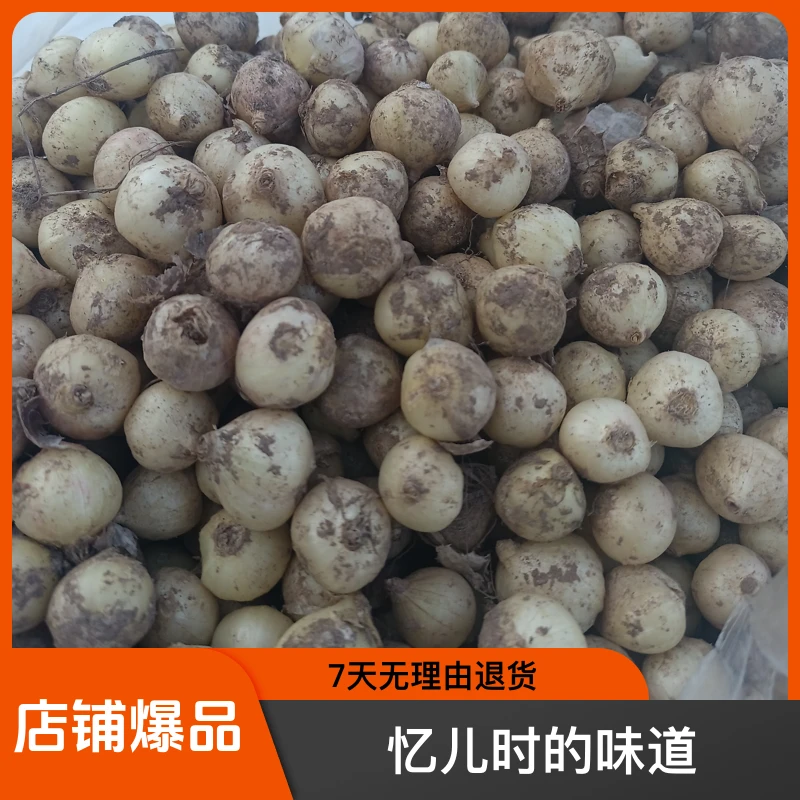 带泥小蒜，忆儿时的味道