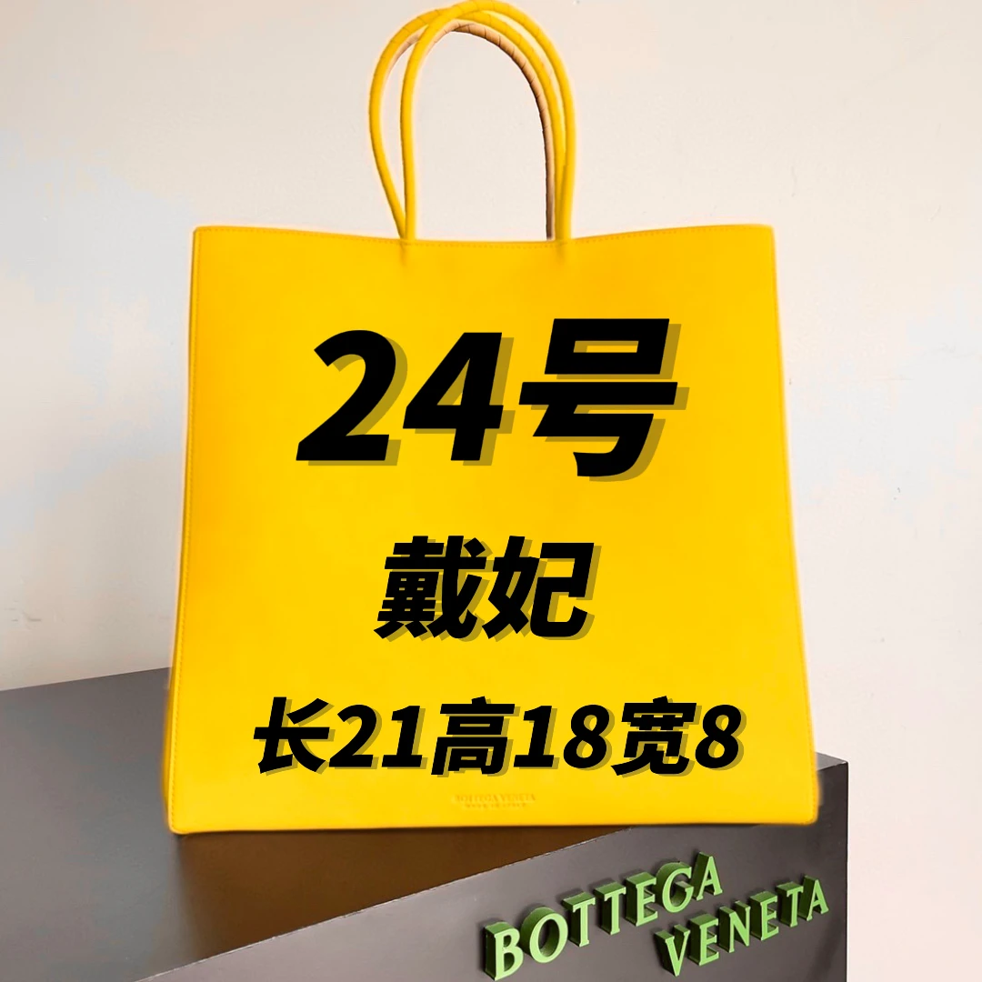 D24号手提经典戴妃单肩斜挎包-8029