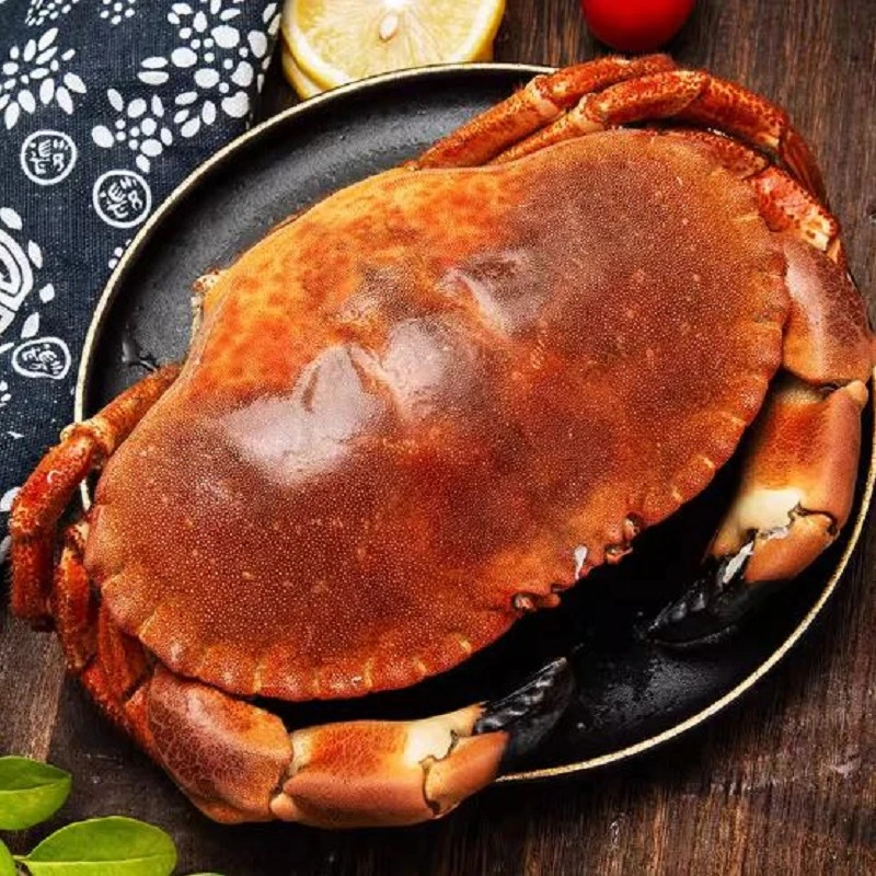 【连云港发货】满黄面包蟹（600克/800克/只）新鲜冷冻深海肉质