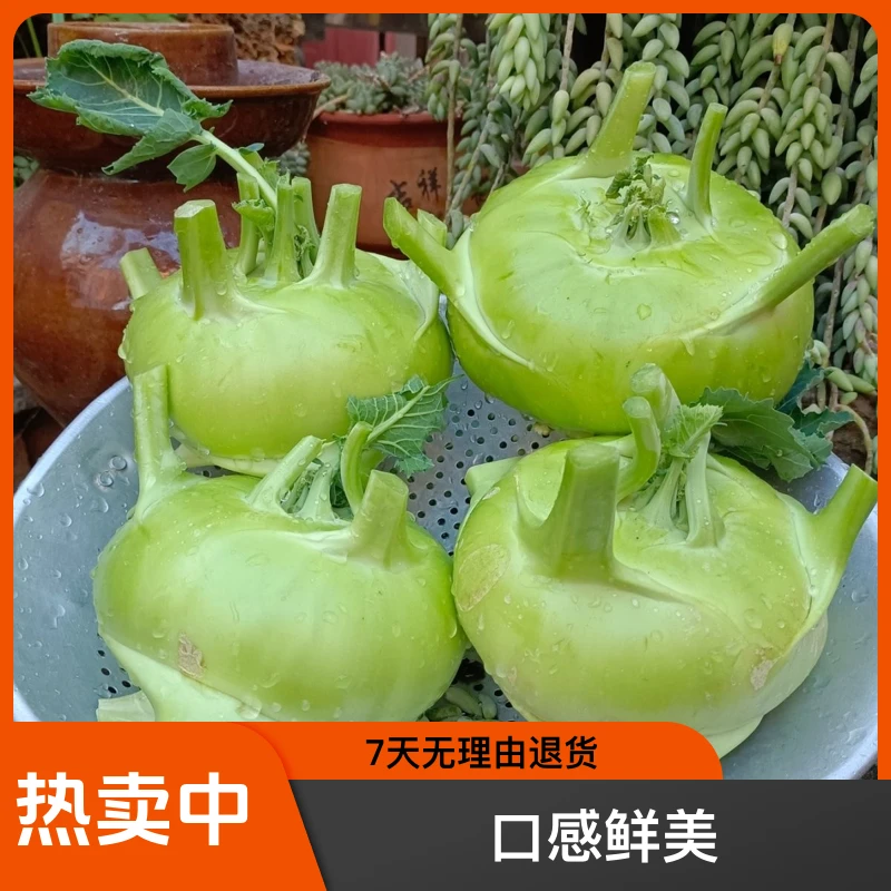 云南新鲜蔬菜无筋苤蓝疙瘩大头菜