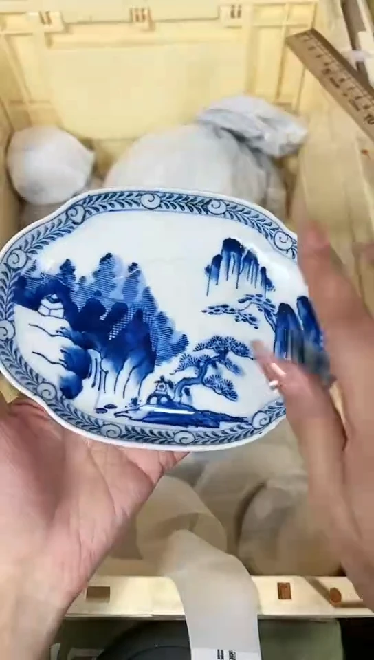 【闪购商品】密胺瓷片799
