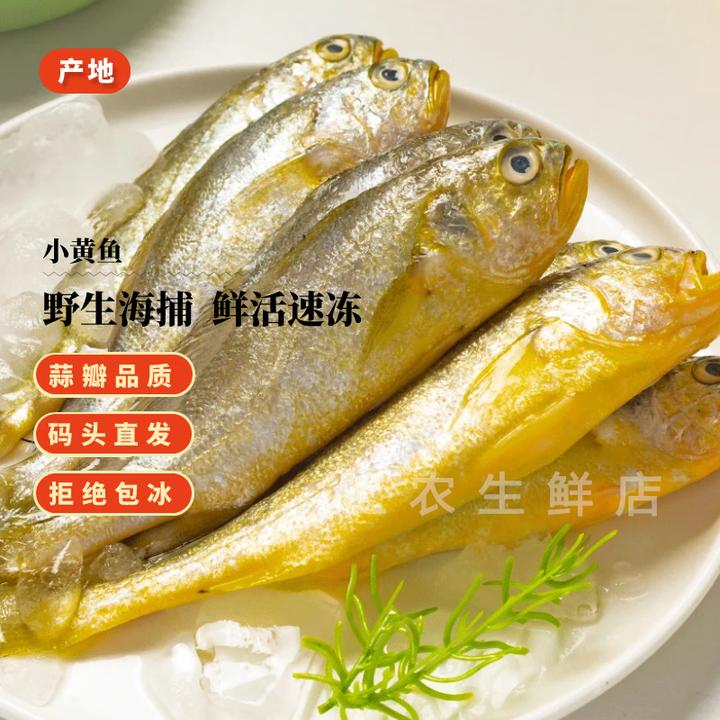 舟山海鲜小黄鱼生鲜 新鲜海捕黄花鱼烧烤食材小黄鱼冷冻生鲜水产