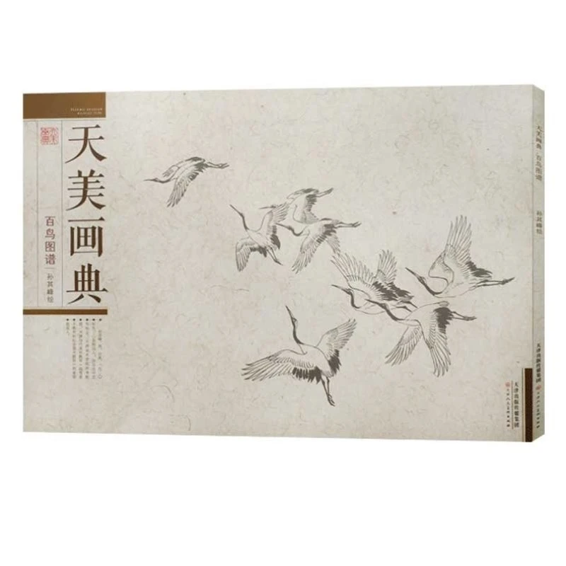 百鸟图谱 天美画典 禽鸟白描稿 花鸟 传统技法教程解析