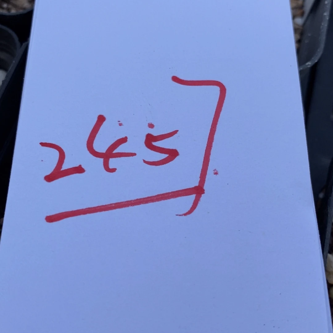 2457一个一个一个