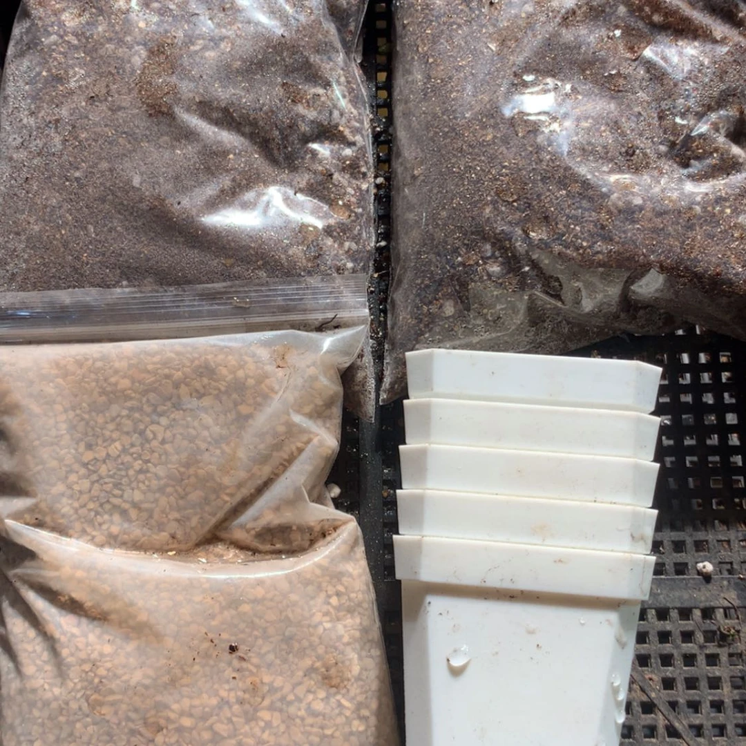 【闪购商品】土包邮