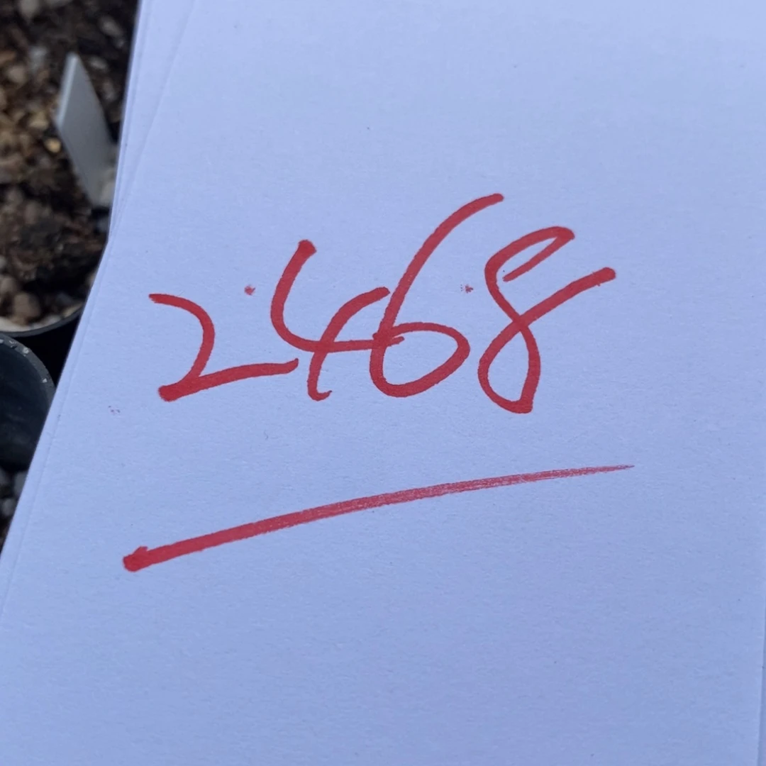 2468一个一个一个