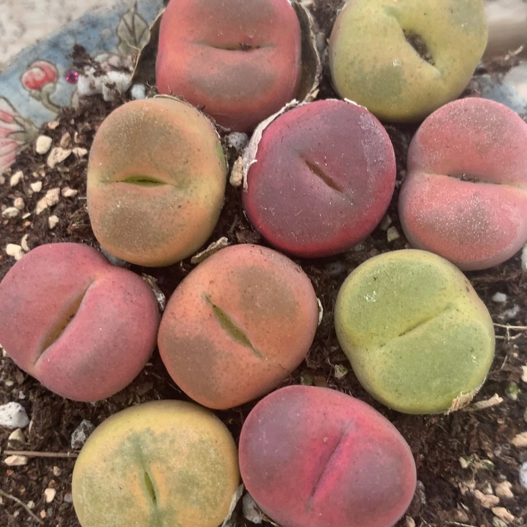 2946一组一组一组