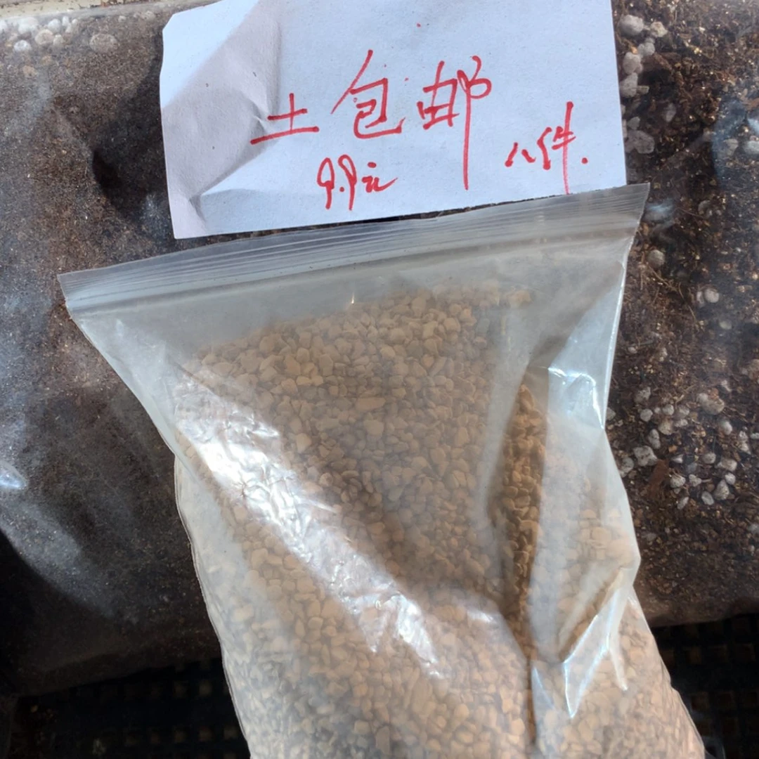 【闪购商品】肉锥土组合包邮