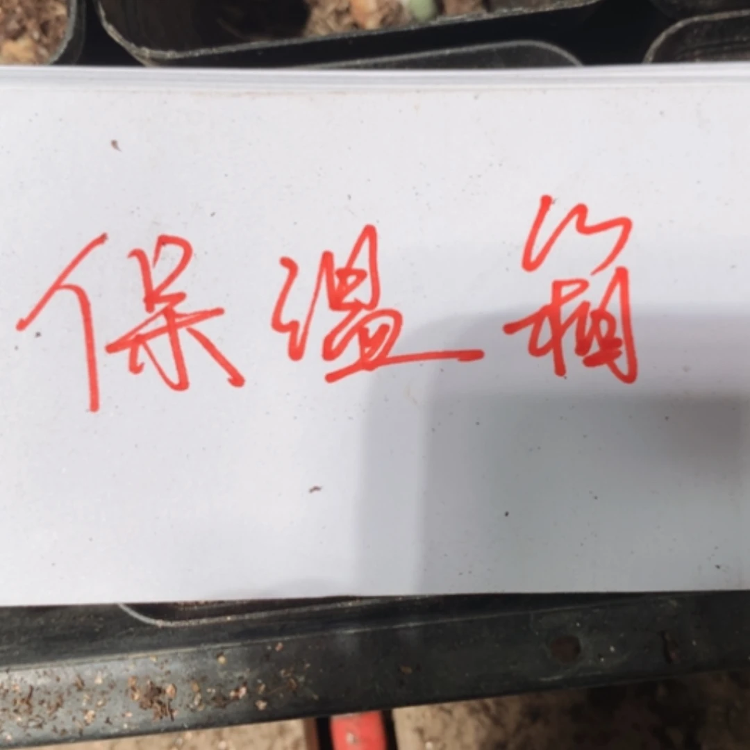 【闪购商品】保温箱
