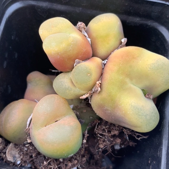 2531一组一组一组