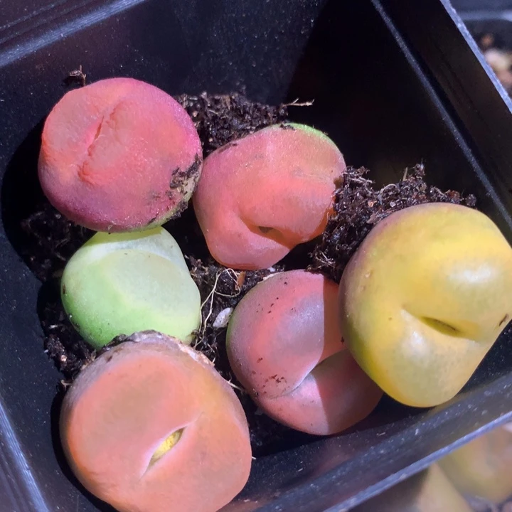 2360一组一组一组