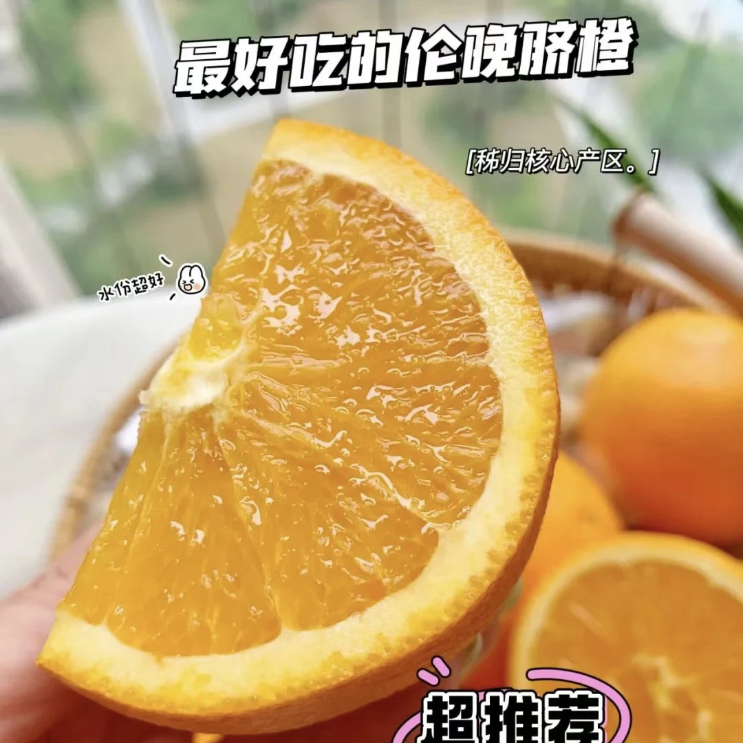 正宗秭归脐橙产地直销现摘现发阳光香甜橙子新鲜采摘快递伦晚脐橙