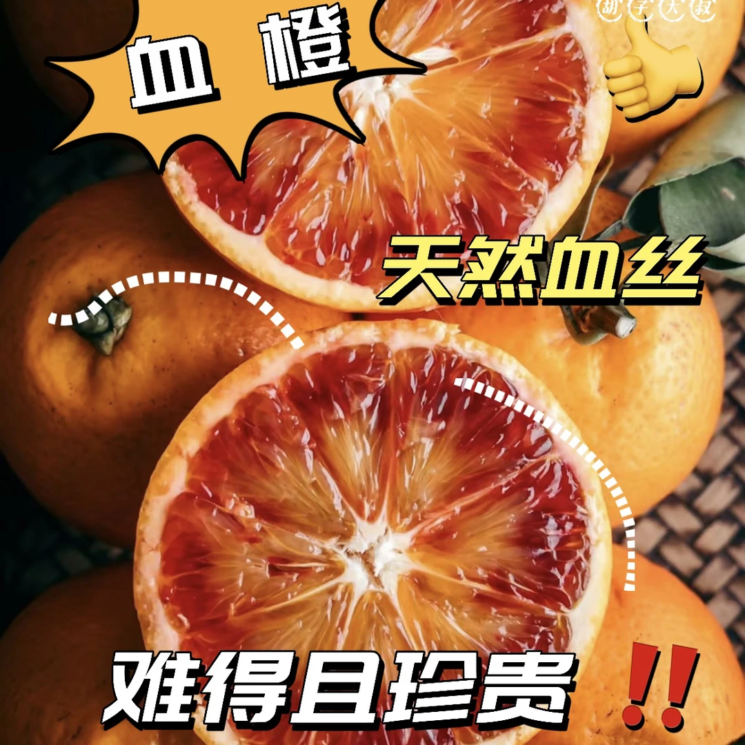 正宗塔罗科血橙标准发货脐橙橙子甜橙5/9斤现摘天然香甜新鲜采摘