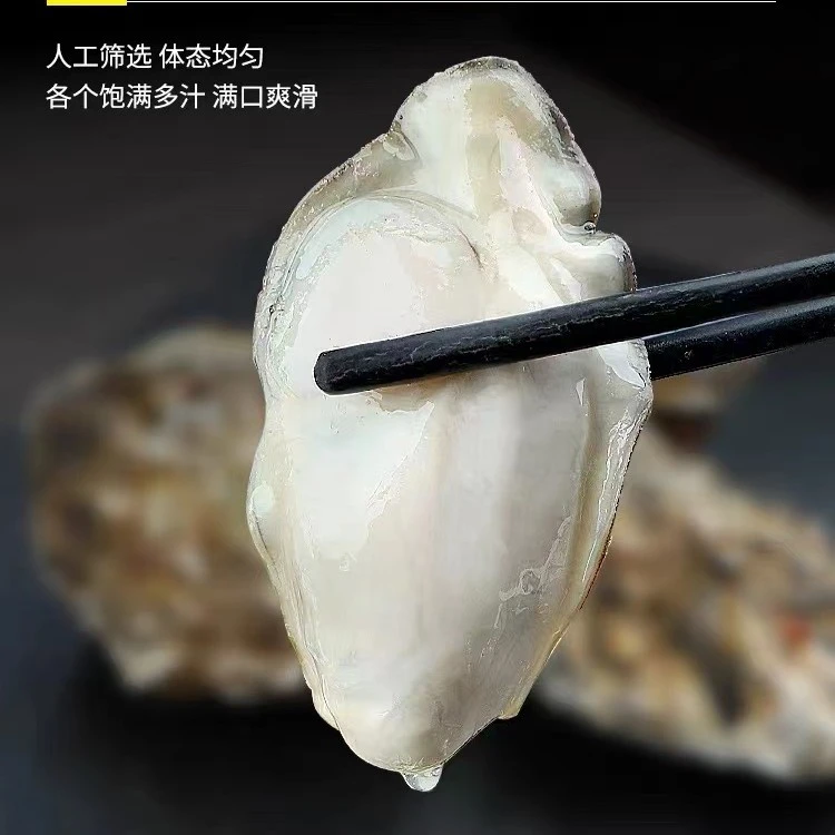 （买5斤送5斤）山东威海生蚝新鲜可刺身鲜嫩肥满包邮