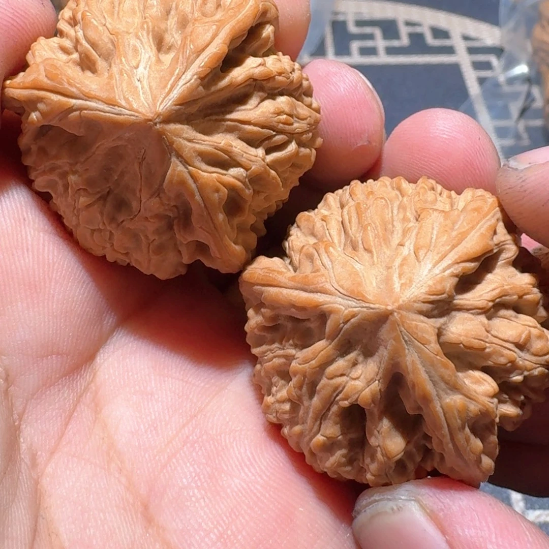文玩核桃把件正奔