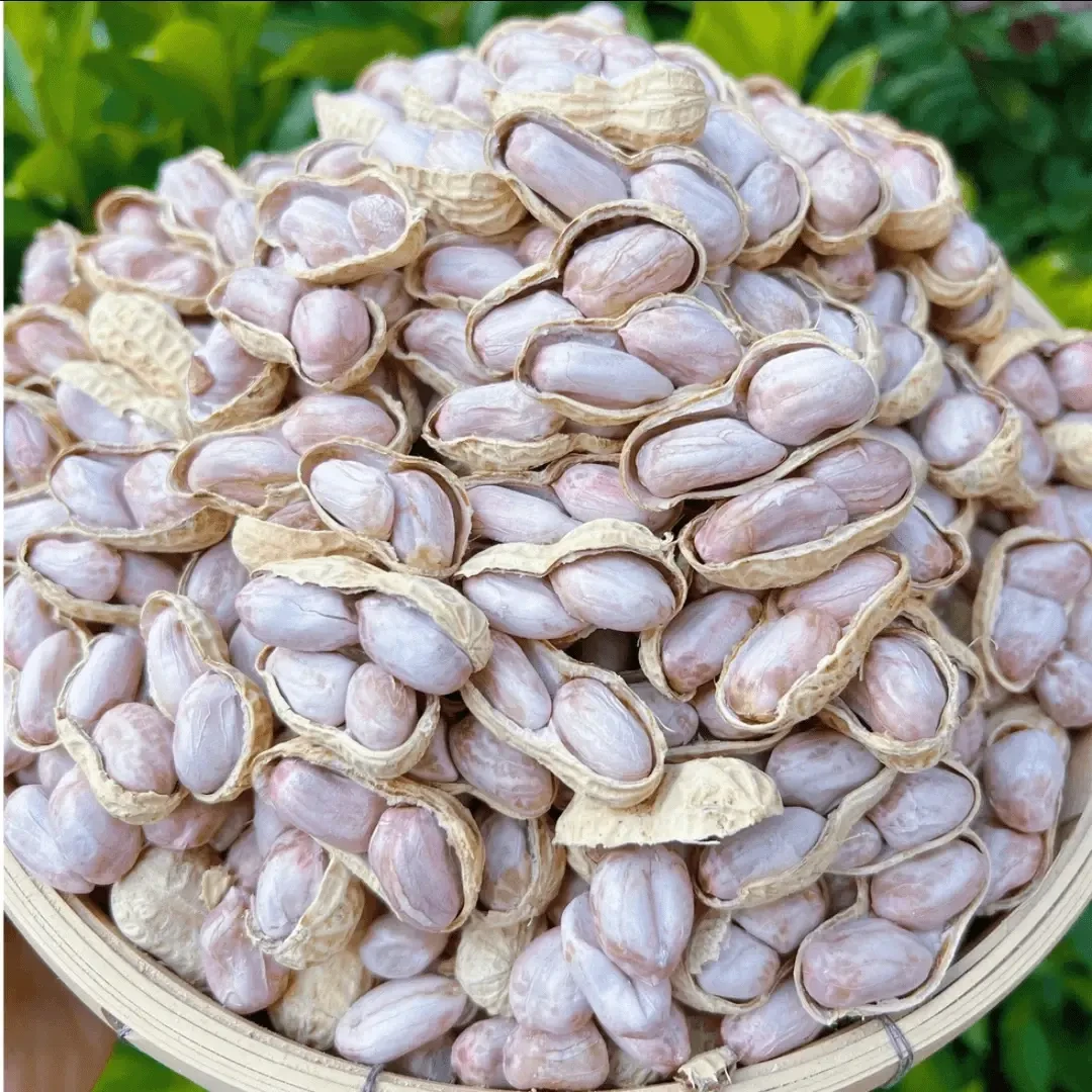 5斤【水煮白晒花生】龙岩花生盐水花生咸干花生带壳1斤熟花生