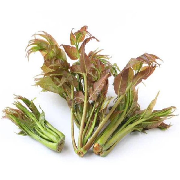 【尝鲜价】新上市 香椿50g/份
