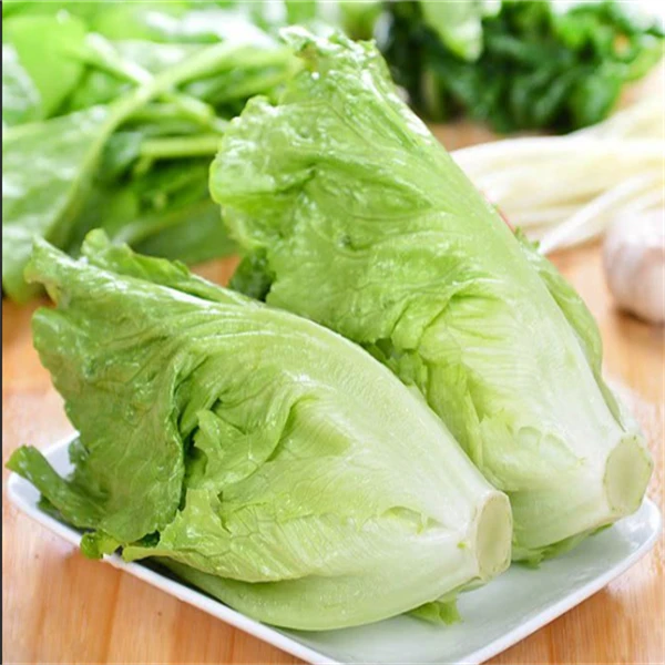 【9.9元3件】生菜约250g