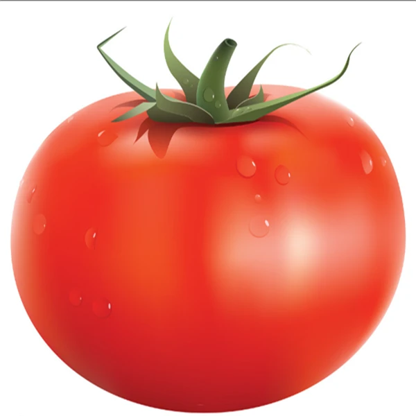 Tomato西红柿250g