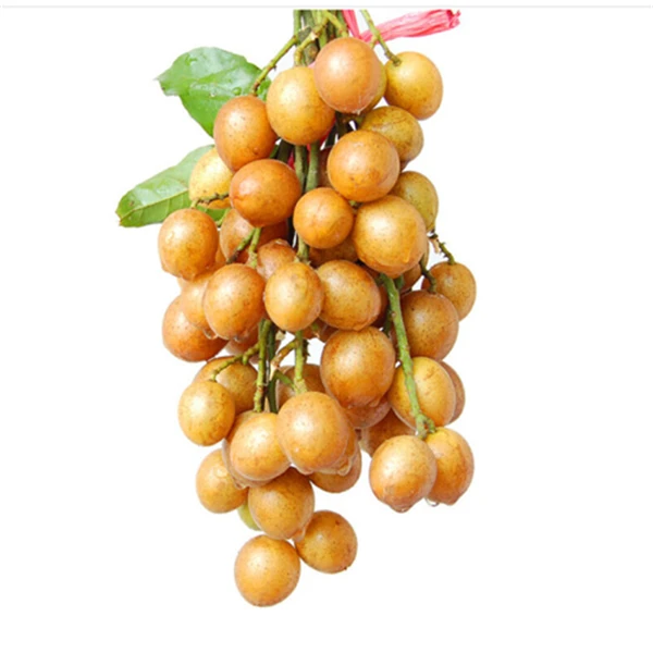黄皮果 约400克