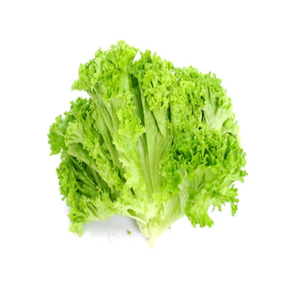 Lettuce生菜250g
