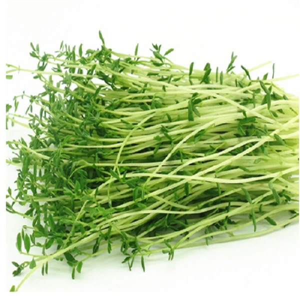 豌豆苗/相思菜 50g/份（孕妇宝宝菜早上才有货）