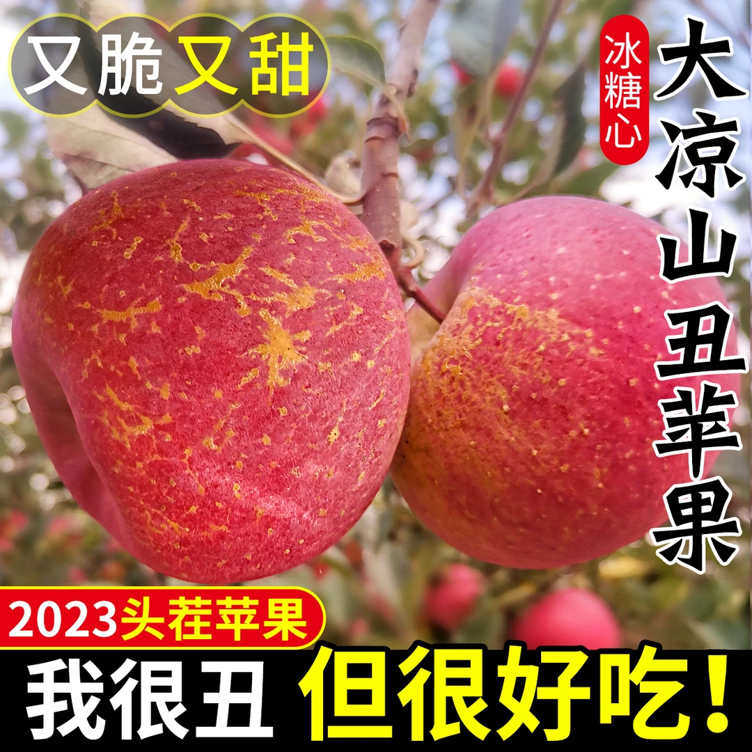 大凉山丑苹果冰糖心水果当季新鲜整箱现摘盐源正宗红富士