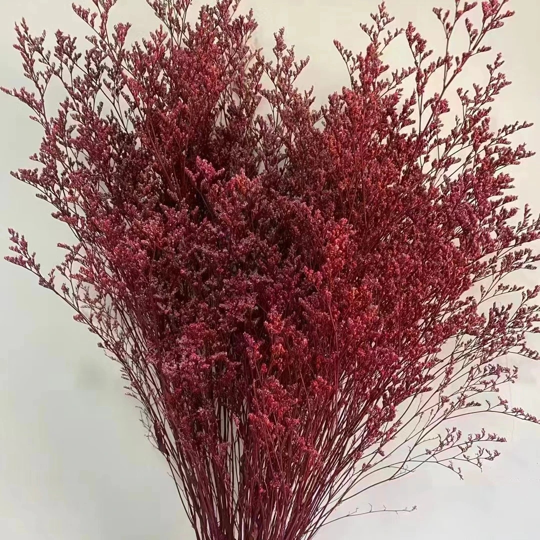 永生情人草厂家直销一件也批发情人节教师节春节感恩节红橙色黄色
