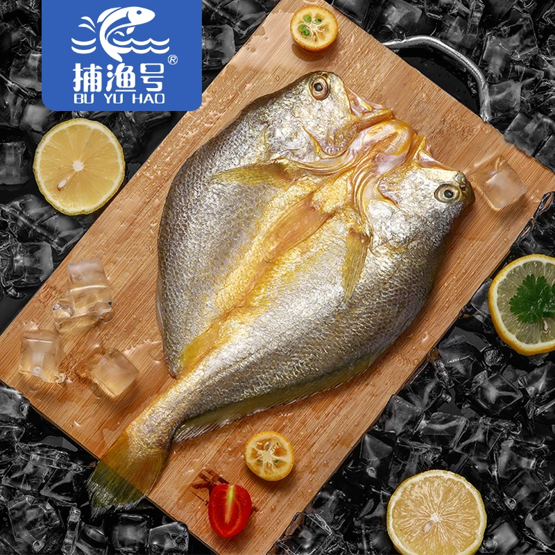 捕渔号海黄鱼深海大黄鱼黄花鱼配料表干净6条每条250克多仓发