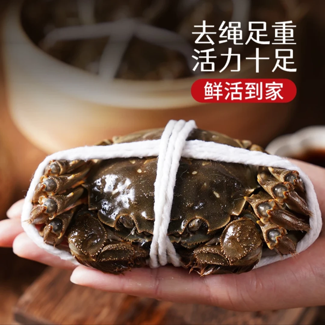 兴化大闸蟹 3.8两起全公3斤 九指手挑精品膏蟹 公蟹首选