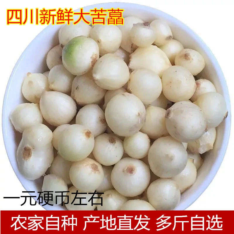 四川苦藠新鲜团葱农家小根蒜野葱头藠头苦茭头小蒜头薤白500g包邮