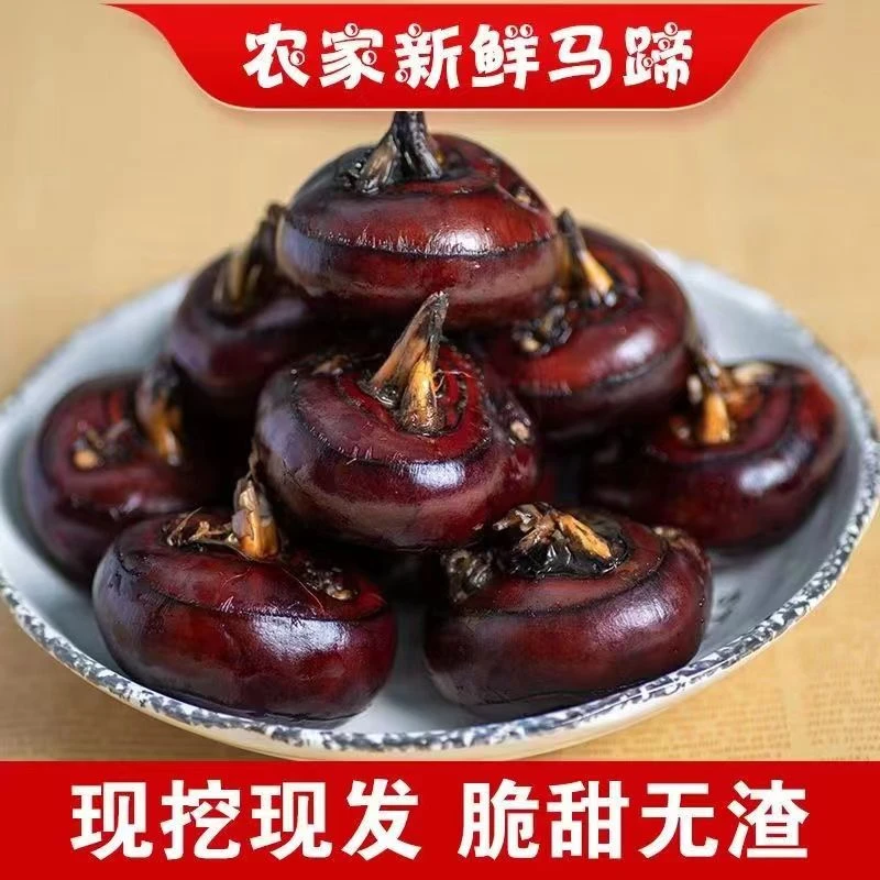 新鲜湖北马蹄荸荠当季清甜水果清脆马蹄珍珠特大果莲地栗地梨